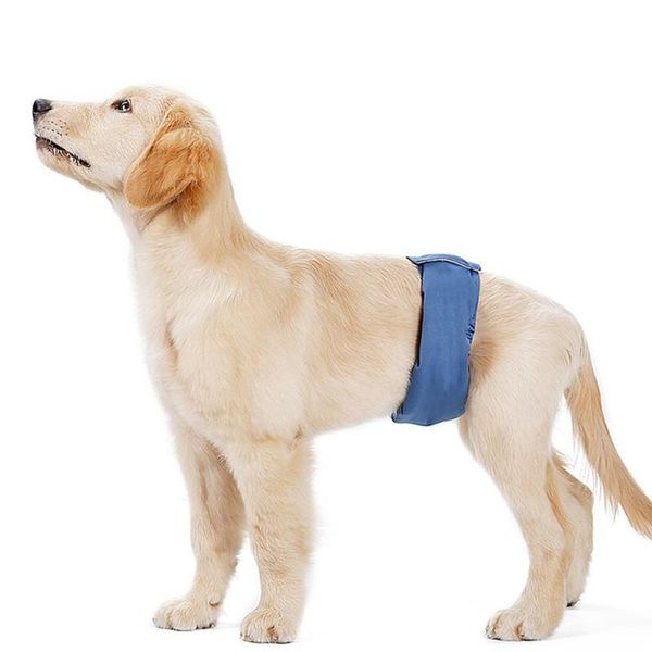 

dog apparel waterproof pet sanitary pants with magic sticker