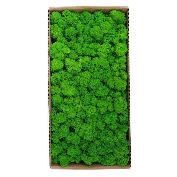

preserved moss wall decor real preserved moss no maintenance required naturally home wall party festivals crafts