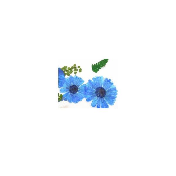 

12pcs,natural pressed flowers rose real dried calendula,diy art craft valentines gift bookmark decoration,scented cand qylmpg