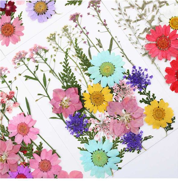 

decorative flowers & wreaths 10 pack pressed flower material dry embossing combination leaf diy accessories