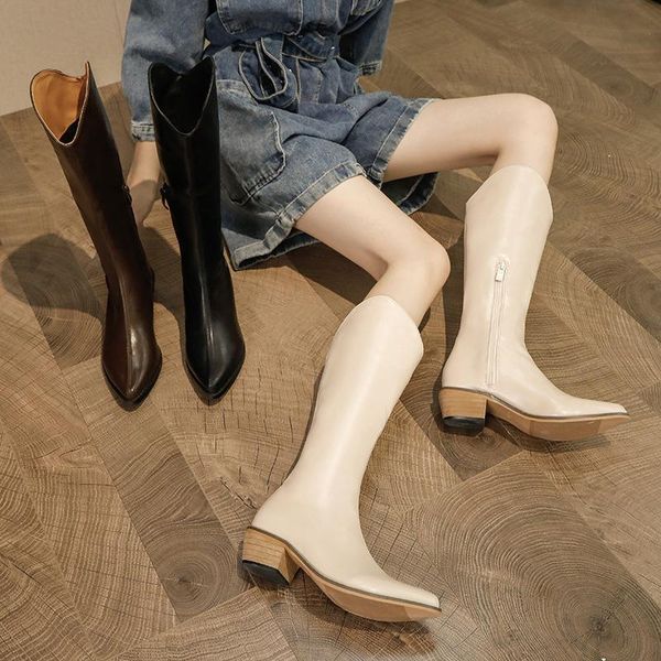 

boots pointed toe women 2021 rider white ladies high heels chunky pumps 4.5cm winter warm female heeled shoes, Black
