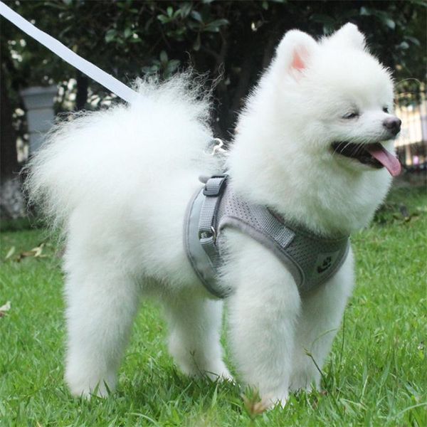 

dog collars & leashes pet chest harness reflective leash small vest type adjustable safety 1 pc