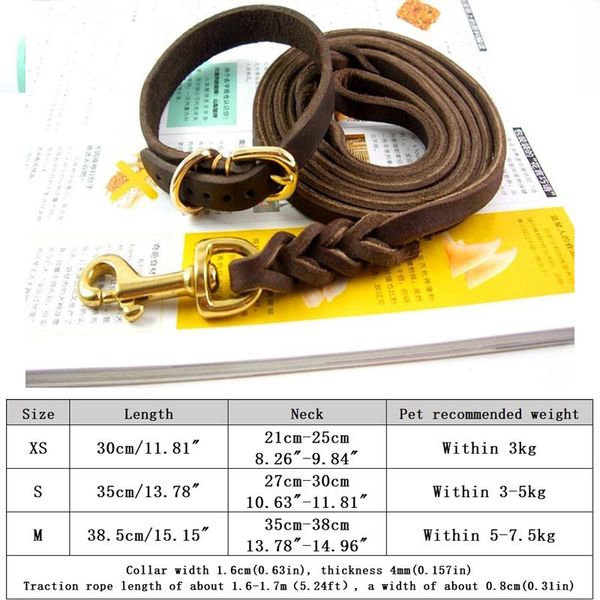 

dog collars & leashes pet small and medium-sized dogs medium large puppies leather