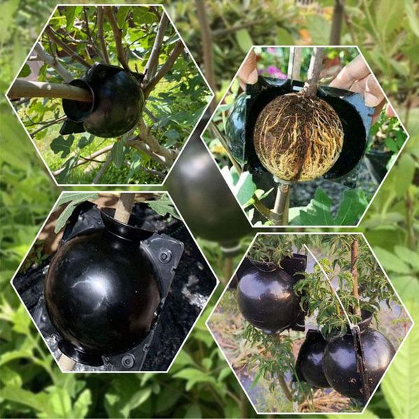 

planters & pots plant rooting ball propagation box grafting cloner garden