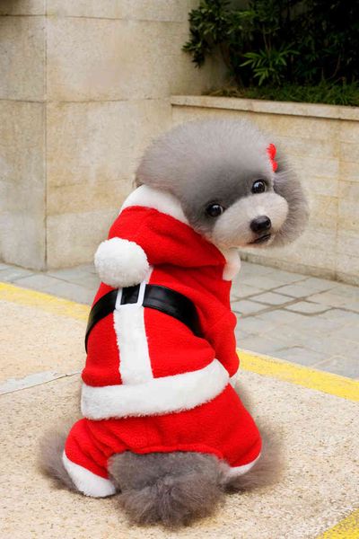 

things cloth autumn and winter funny long-term dog christmas pet