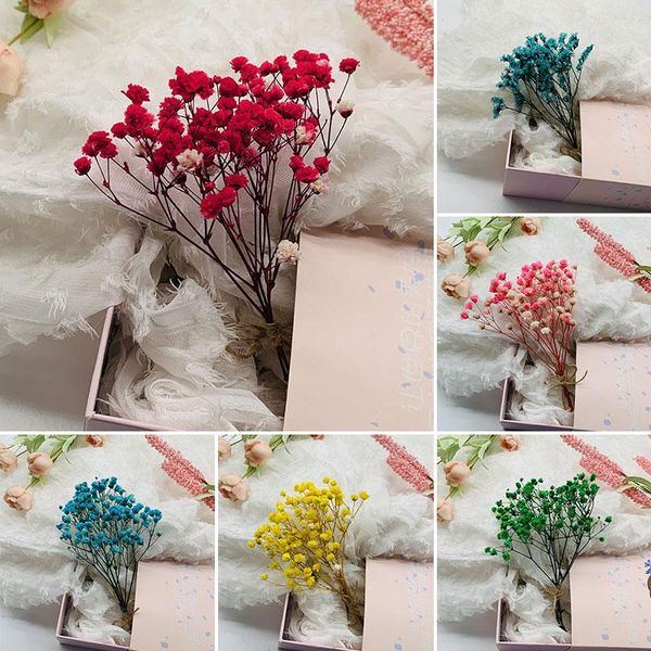 

decorative objects & figurines stars of forget-me-not dry flower bouquet living room furnishings send boudoir light luxury vase decorati