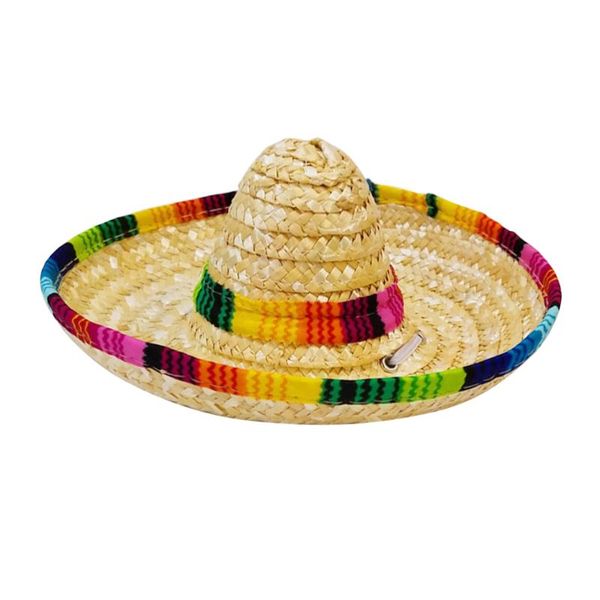 

dog apparel 2pcs hat creative attractive beautiful fashion po prop headdress pet supplies for cat