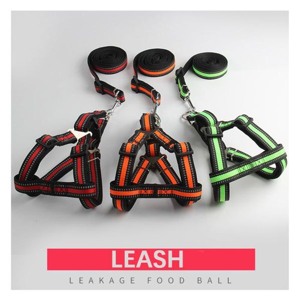 

dog dogs leash for small puppy