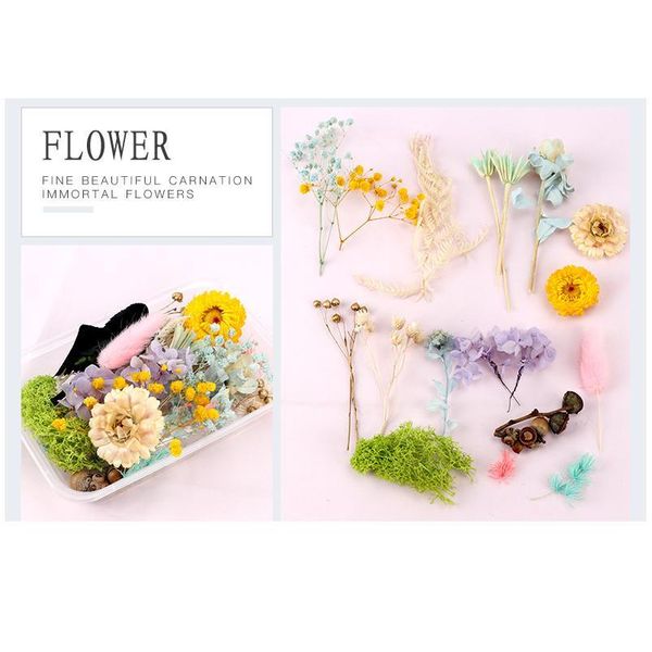 

eternal flower material festival handmade floral products diy gifts box dried flower mixed wholesale artificial plan qyljqx