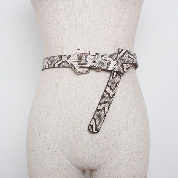 

belts metal pin long buckle belt fashion snake pattern ladies dress decorative women faux leather straps waistband sw07, Black;brown