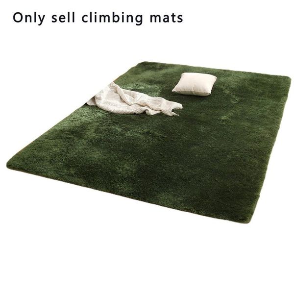 

carpets long hair thickening climbing mat living room coffee table absorbent carpet bedroom bedside bay window floor