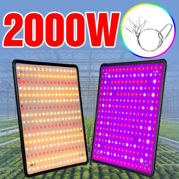 

2000w plants lamp greenhouse led grow light for full spectrum phyto lamp fitolampy indoor light for led grow tent box 2835smd