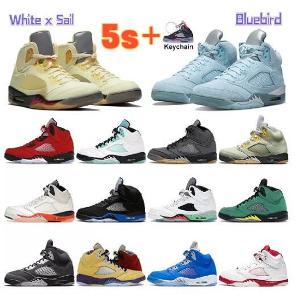 

jumpman high og 4 sail paris mens basketball shoes 4s anelyzes black cat 5 5s michigan trophy room women sneakers trainers size 7-13