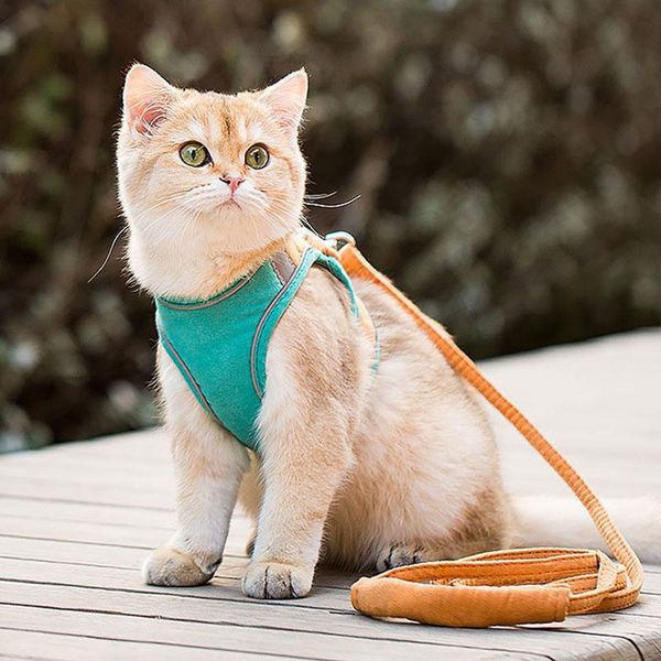 

dog collars & leashes cat harness fashion reflective vest pet harnesses outdoor walking small cats dogs floral print collar accessories