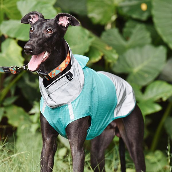 

blackdoggy pet raincoat warm water splash proof cotton padded et outdoor dog cloth