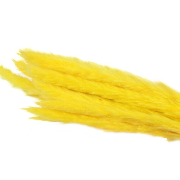 

decorative flowers & wreaths 15pcs reed small dried pampas bouquets wedding durable natural living room flavorful communis bulrush flower bu