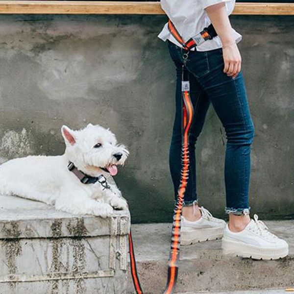 

dog collars & leashes pet leash for large dogs adjustable og two-color products outdoor traction rope chain nylon high quality