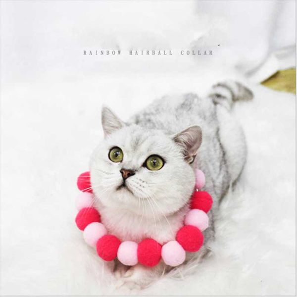 

cat collars & leads pet collar cute color ball dog hair po jewelry