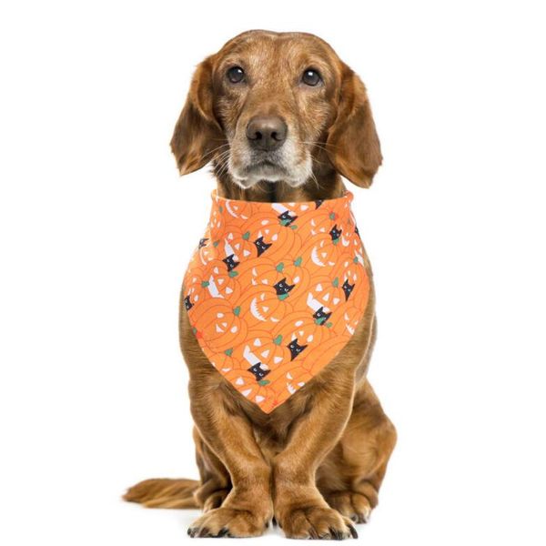 Halloween Pet Drool Sciarpa Cane Monostrato Triangolo Sciarpa Cat Pet Stampato Festival Decor Sciarpa Abbigliamento per cani Decorazioni di Halloween GGB2262