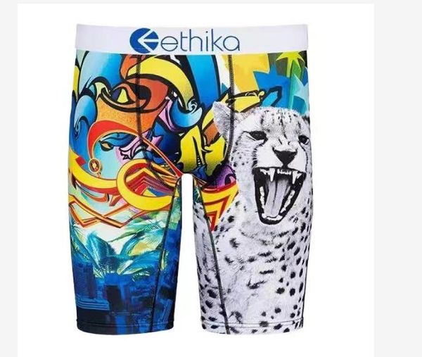 

ethikamens swimsuit, boxer shorts, champion of sport19