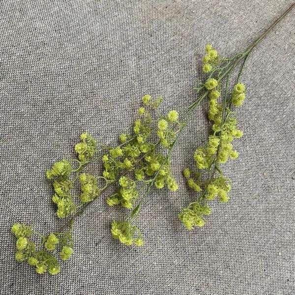 

wedding flowers single soft rubber gypsophila po studio bride holding simulation plant home decoration