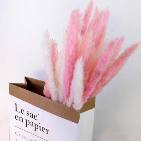 

15pcs/lot real plants dried small pampas grass flowers pantas artificiales para decoracion home decor easter decoration