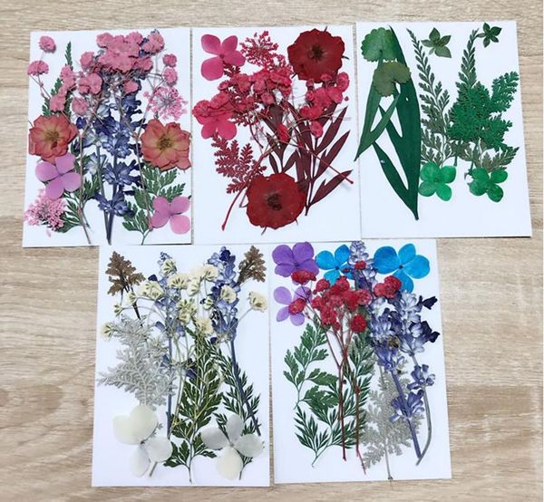 

decorative flowers & wreaths dried for candles pressed diy preserved flower decoration home mini scarpbooking flores handmade gifts