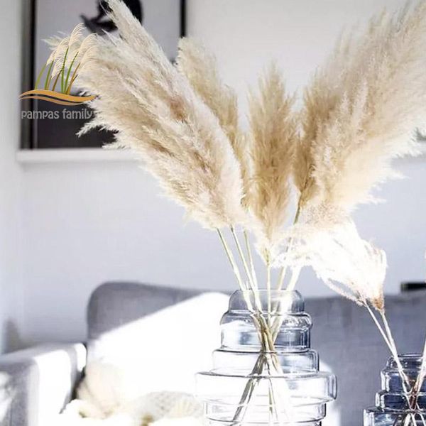 

85-120cm pampas grass extra large natural white dried flowers bouquet fluffy for boho vintage style home wedding flowers decor