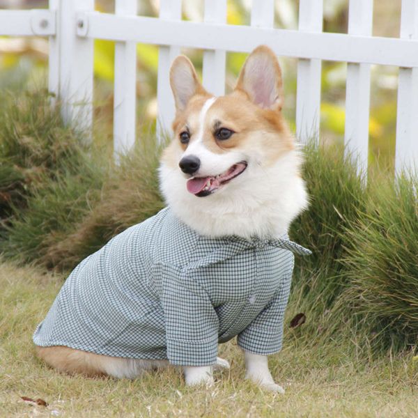 

pet it teddy kirky dog shirt korean gentleman pet drs no iron no wrinkle