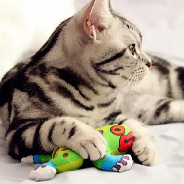 

cat toys [mpk store] froggie toy, fat green frog toy for cats, kitten