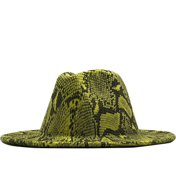 

wide brim hats autumn and winter women's hat woolen snake print female flat big jazz, Blue;gray