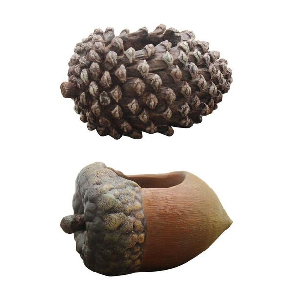 

planters & pots flower pot mini filbert pine cone succulent plants planter flowerpot vase bonsai landscape