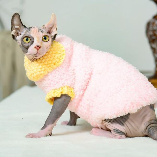 

cat costumes sphinx clothes coral fleece warm sweater winter hairless hand-knitted