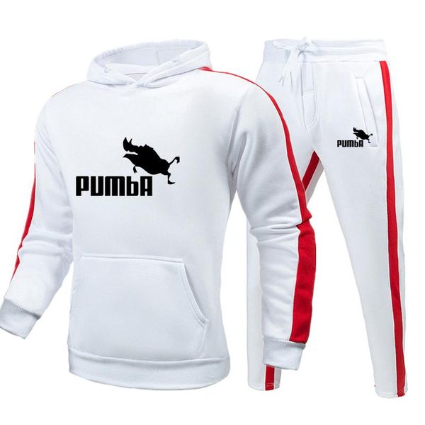 

men's tracksuits 2021 tracksuit,cotton leisure sports winter sweater,oversized hoodie+sweatpants male,fine clothes hoodies, Gray