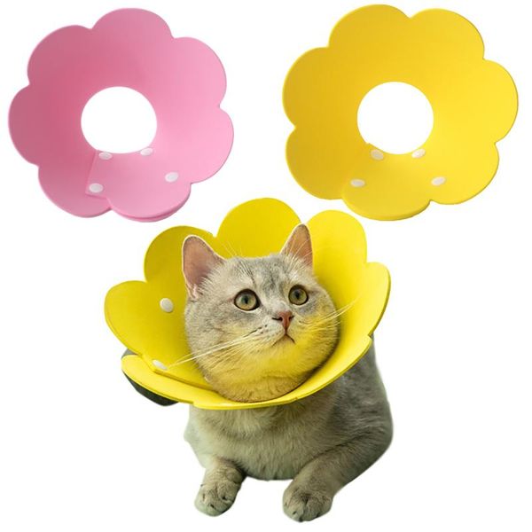 

cat costumes 2 x collar flower neck cones after operations adjustable collars