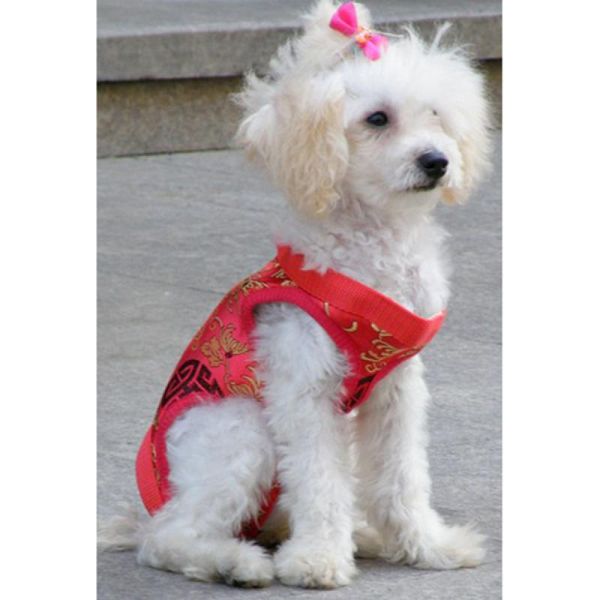 

multifunction pet dog carrier shoulder bag harness clothes - size )