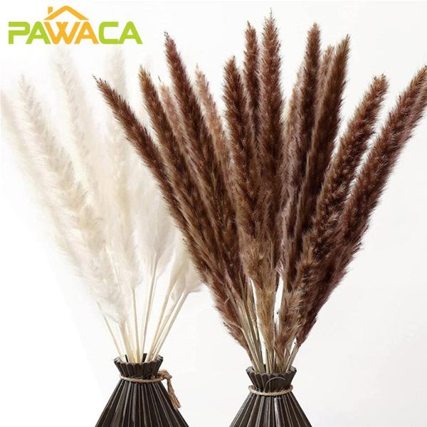 

decorative flowers & wreaths 30pc pampas grass natural dried bouquet boho real flower bunch plants home wedding christmas party decorations
