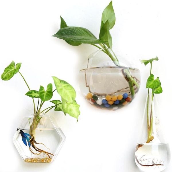 

vases glass vase terrarium home decor hanging flower planter container garden party wall