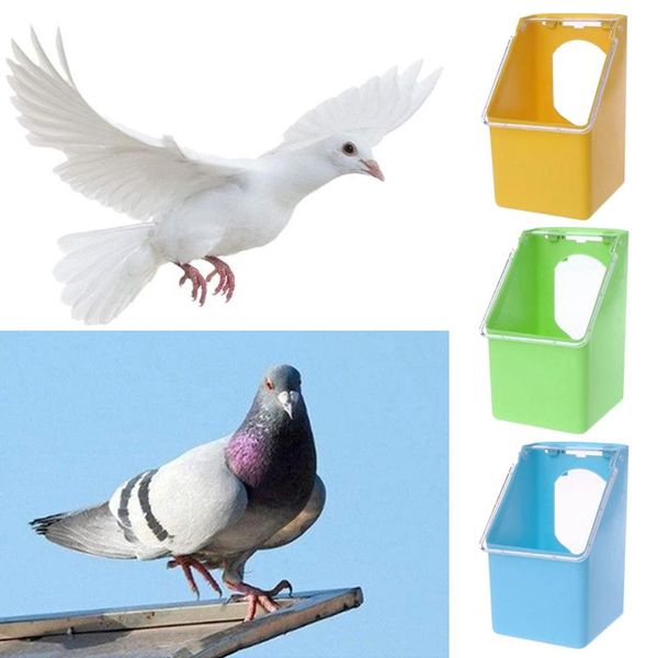 

other bird supplies feeder anti splash feeding bowl box candy color parrot pigeon budgie plastic drink water equipment