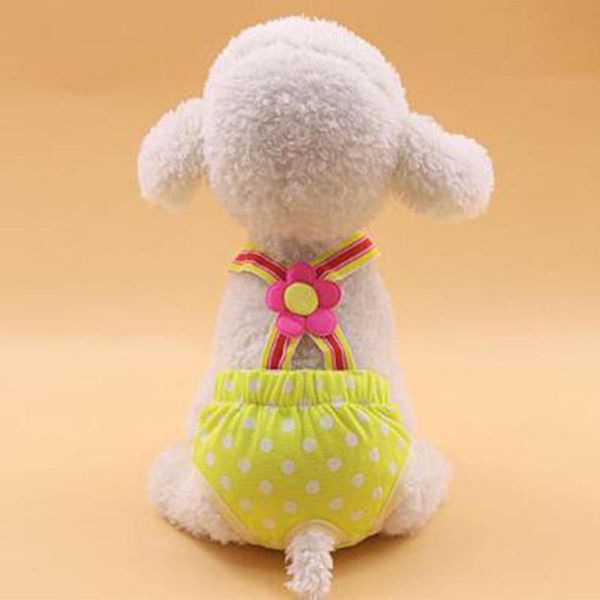 

dog apparel glorystar pet dot physiological pants with flower underwear for teddy bichon