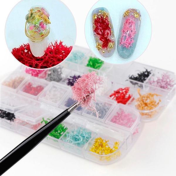 

12 colors/box dried coral flower dyeing plants for epoxy resin pendant necklace jewelry making craft diy acc qylnow
