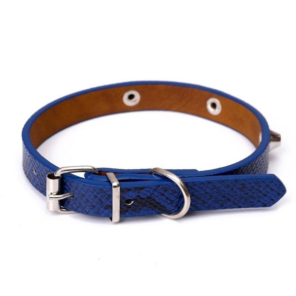 

dog collars & leashes snakeskin pattern collar personalized printing pet tag pu puppy cat adjustable supplies