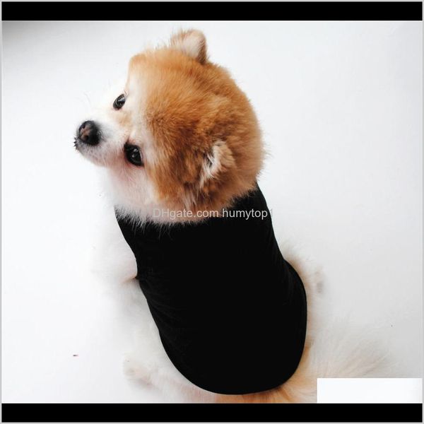 

supplies vests pet supplies clothes summer dog tshirt black white dog vest cute yorkshire terrier comfortable t wmtvsc fflcl idkcl