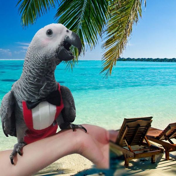 

other bird supplies pet parrots in flying suits practical and durable clothes suit cute cartoon style animal world funny