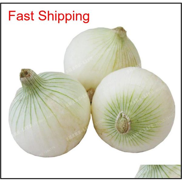 

100 pcs onion seeds vegetable 95% high germination vegetable chinese allium cepa healthy veg qyluzk dh_seller2010
