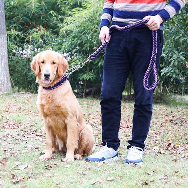 

dog collars & leashes double strand rope large metal chain buckle color pet traction collar set for big dogs