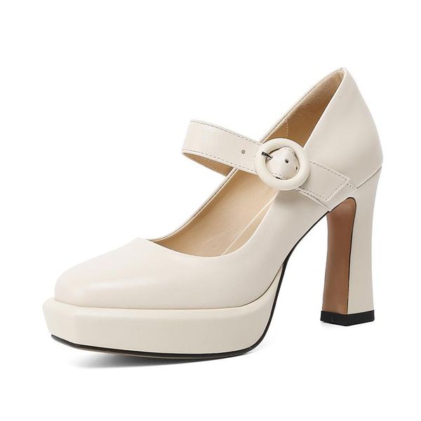 

dress shoes 2021 women leather mary janes pumps high thick heels fashion black apricot square toe female platform party smallhut m169