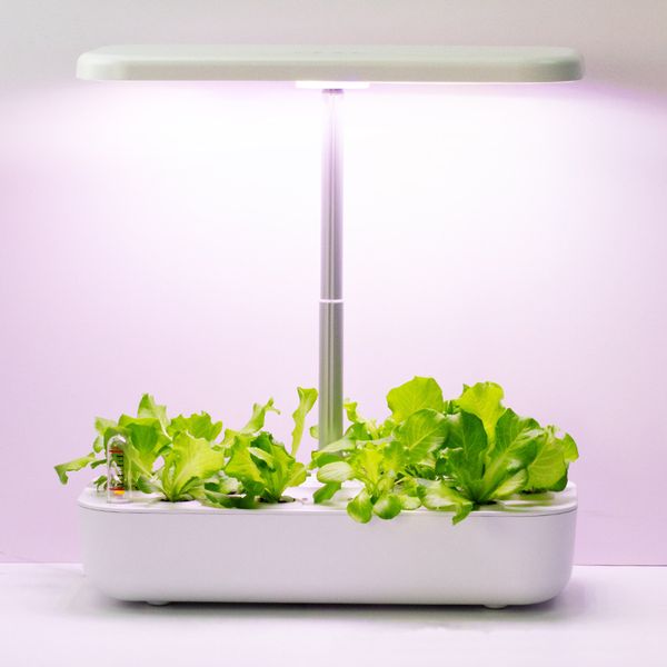 

hydroponics growing system hydroponic pot culture kit with pump indoor gardening and hydroponic cultivation for home