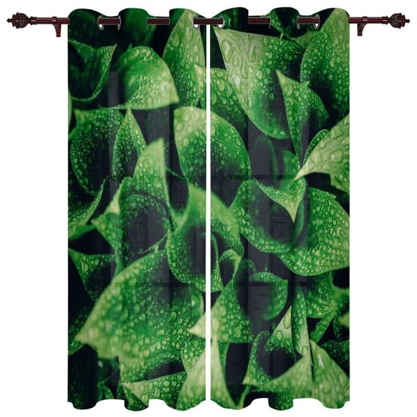 

exquisite home curtains plant leaves drops of water living room bedroom kitchen translucent polyester decorative curtains