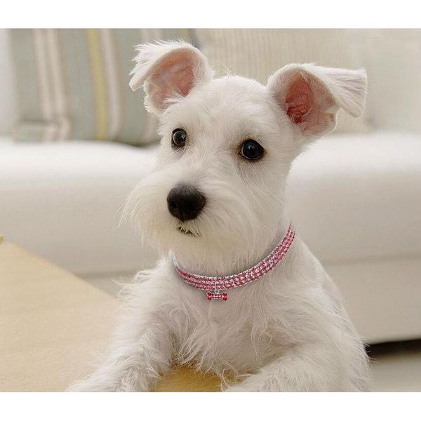 

bling rhinestone pet dog cat collar crystal puppy chihuahua collars leash for small medium dogs mascotas diamond jewelr jllshp sport777